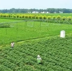 【相关政策】农村供水工程提速开建